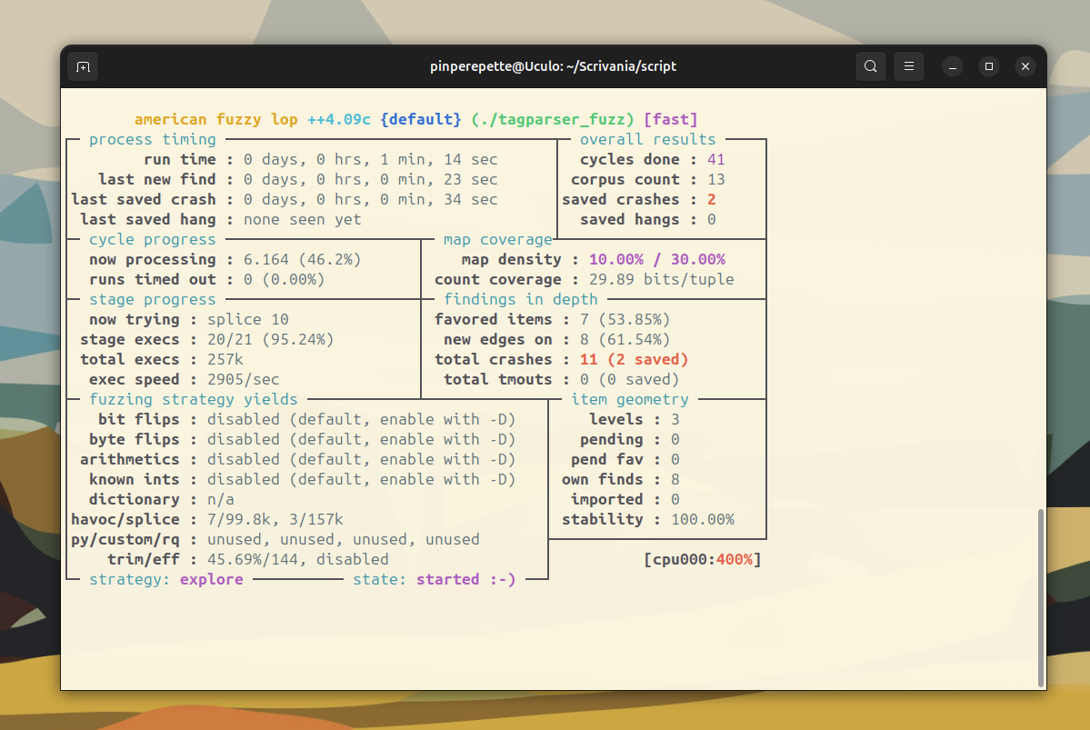 AFL++ con primo crash trovato