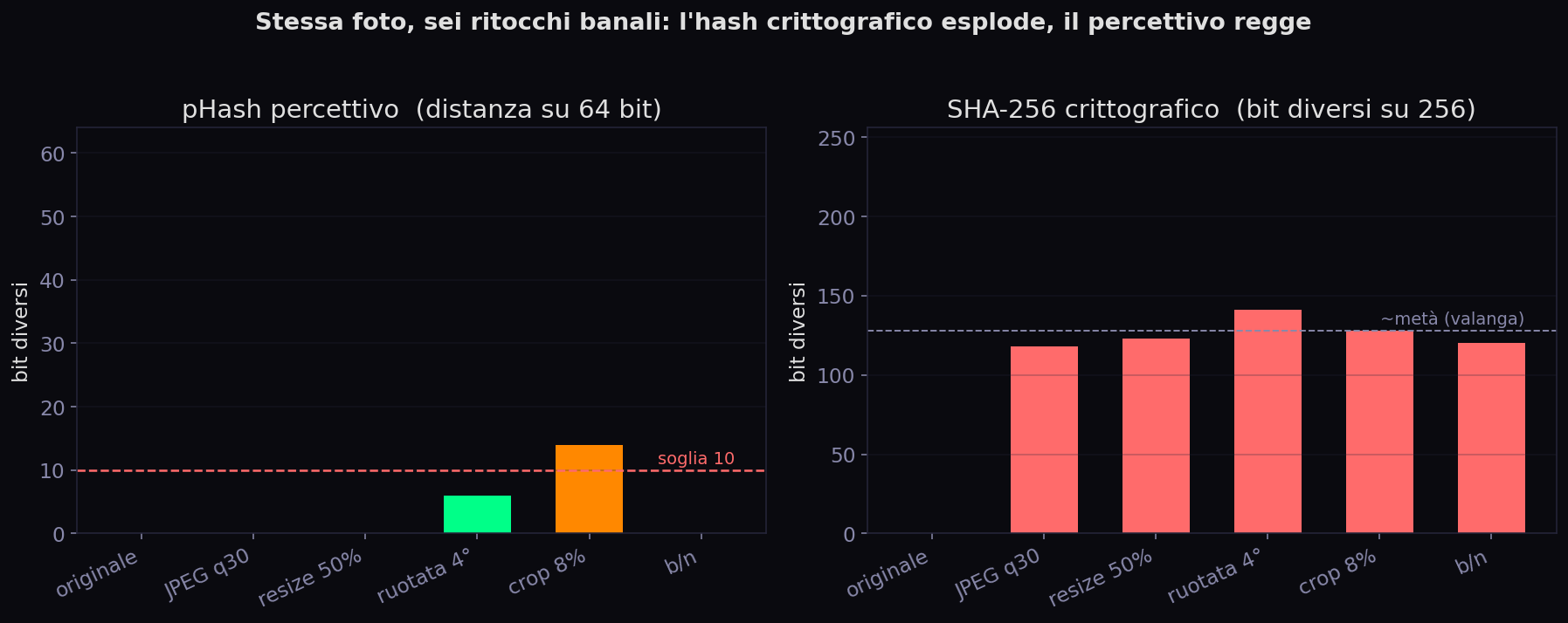 Confronto fra distanza pHash e bit diversi di SHA-256 sulla stessa foto sottoposta a sei ritocchi banali