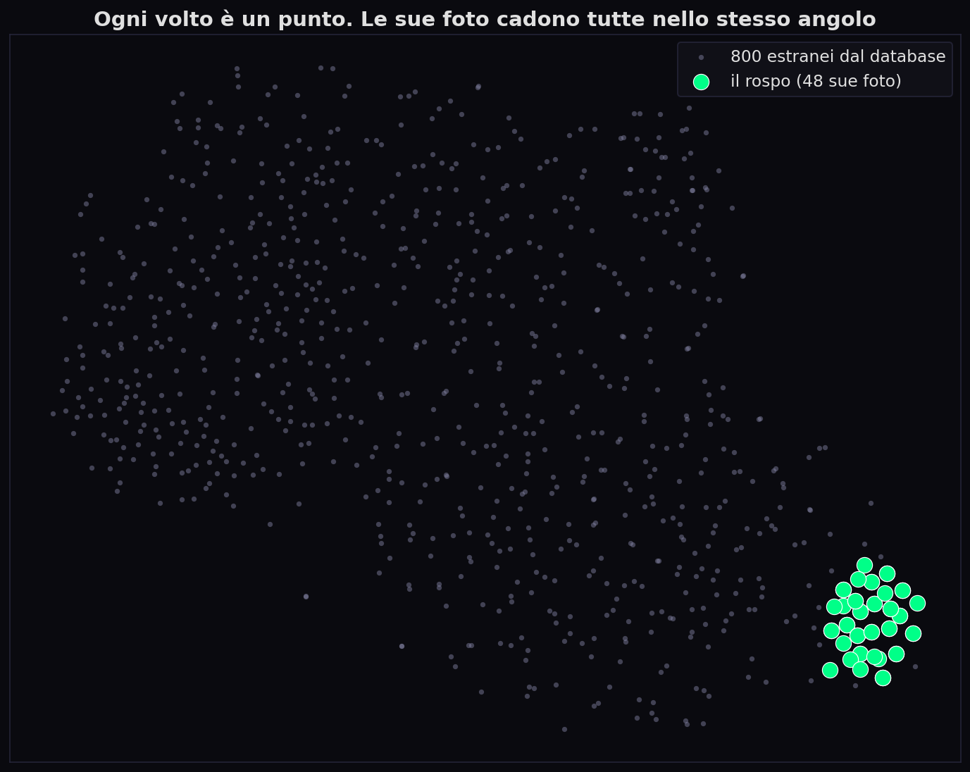 Proiezione 2D t-SNE: 800 volti estranei come nuvola grigia, le 48 foto del rospo raggruppate in un cluster verde fitto e separato