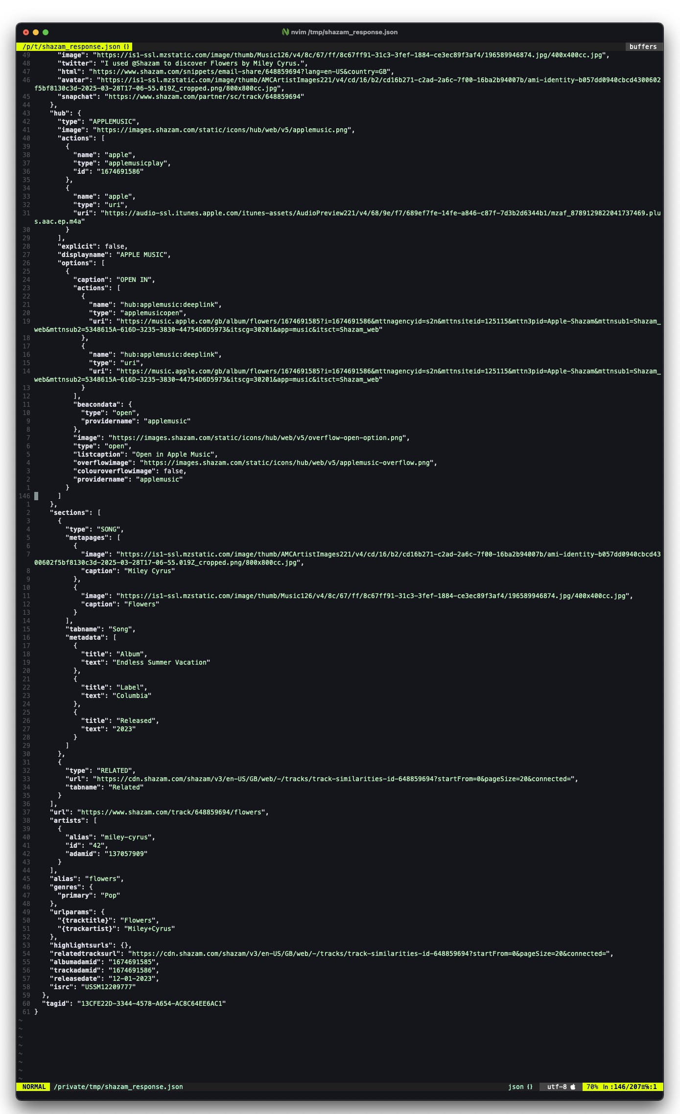 Response JSON completa di Shazam in nvim