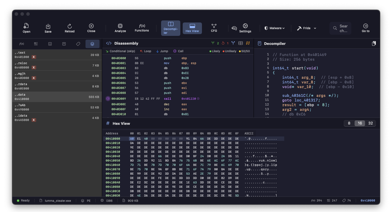 Aether - hex view della sezione .data piena di byte 0xDE