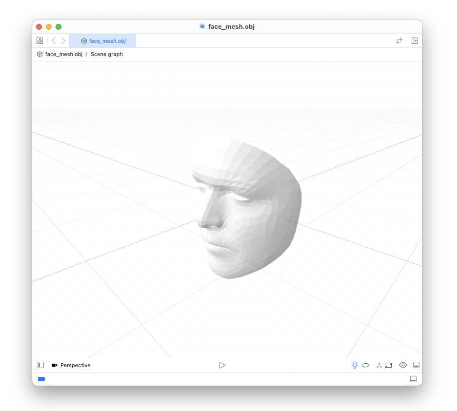 Mesh 3D del volto aperta in Xcode — 1220 vertici, vista prospettica