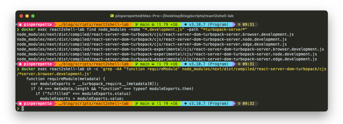 Terminale: grep mostra requireModule senza hasOwnProperty nel container vulnerabile