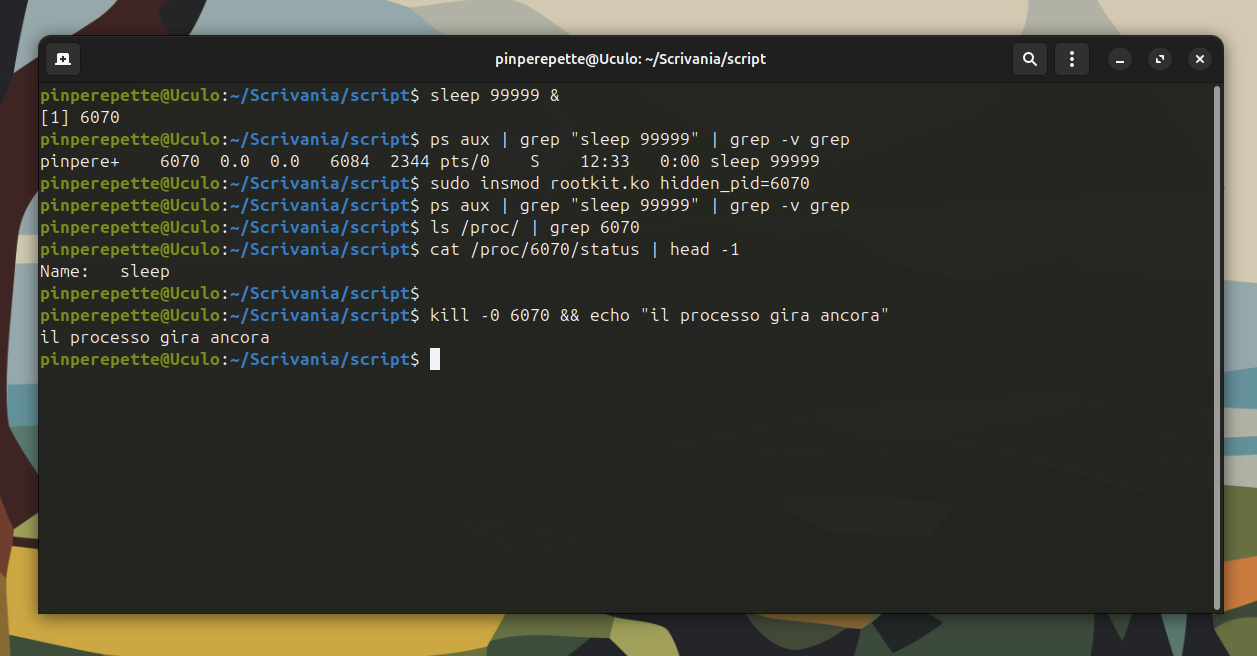 Il Processo Che Non Esiste