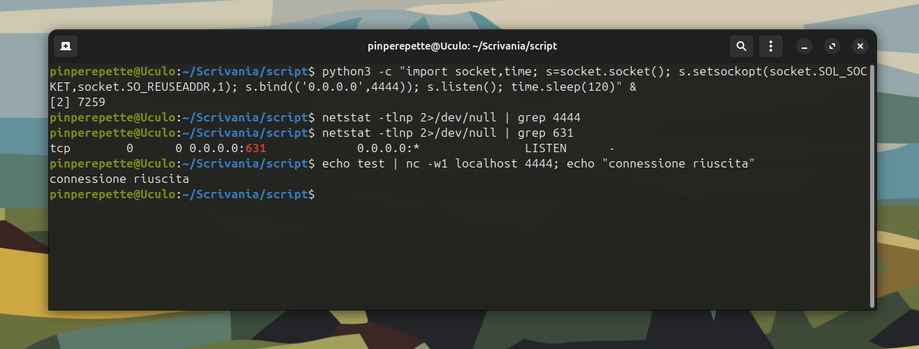 Terminale: porta 4444 aperta ma non visibile in ss, connessione funzionante